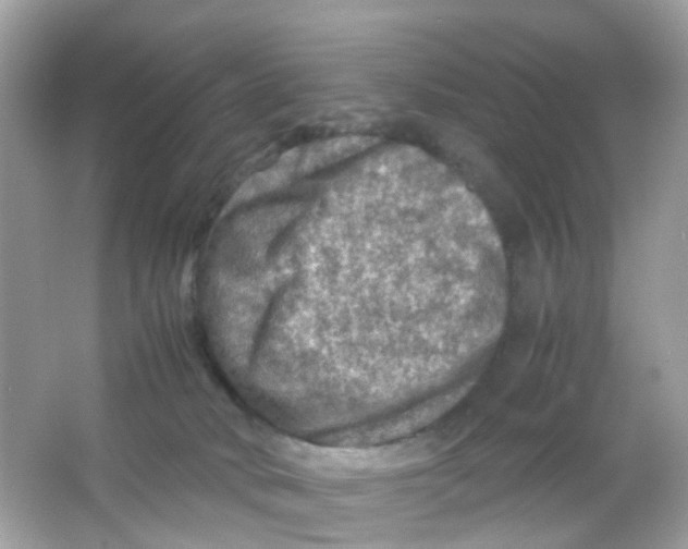 X0000065980034200603241951