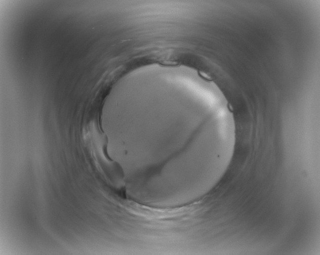 X0000065980035200603241951