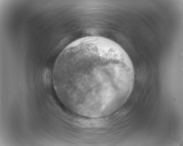 X0000065980036200603241951