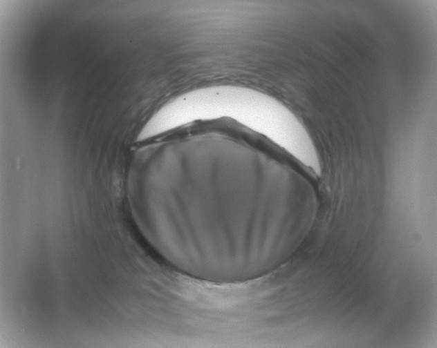 X0000065980039200603241951