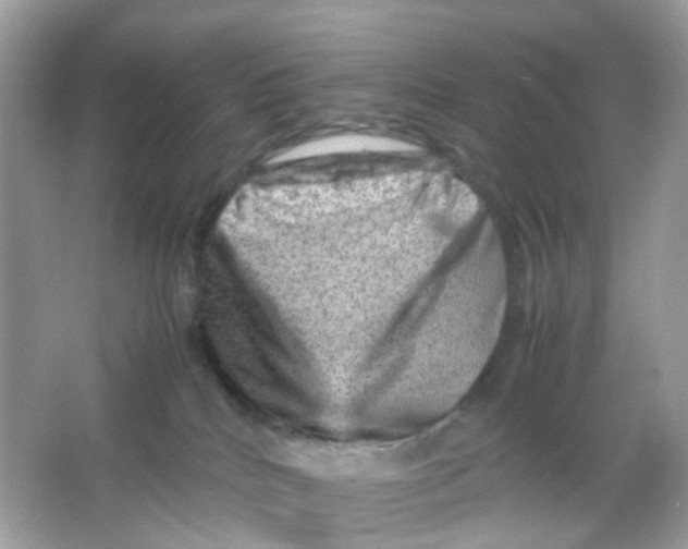 X0000065980040200603241951