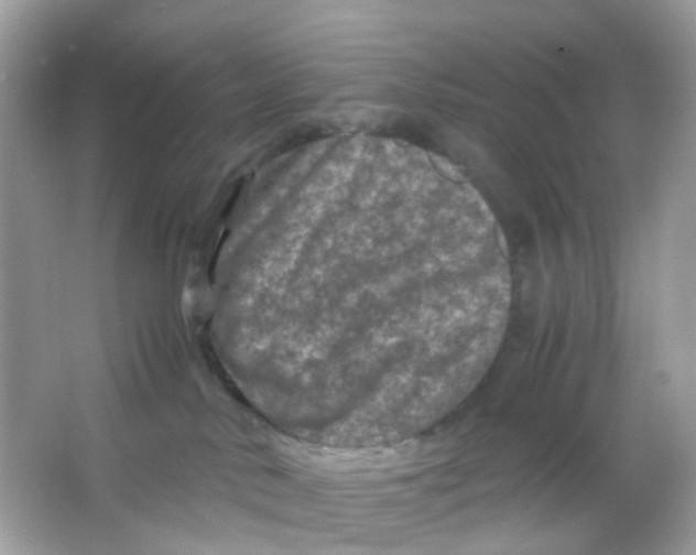 X0000065980042200603241951