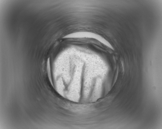 X0000065980044200603241951