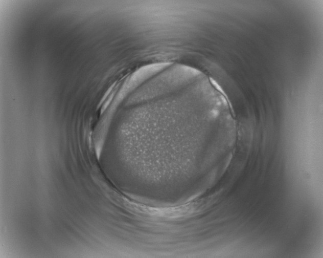 X0000065980046200603241951