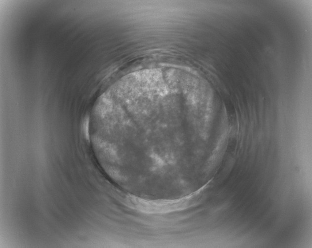 X0000065980047200603241951