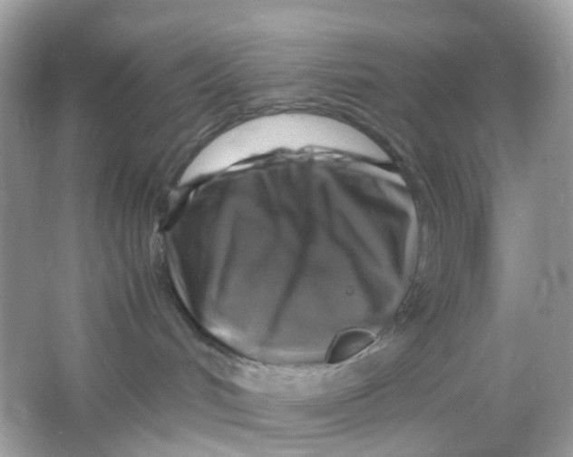 X0000065980048200603241951