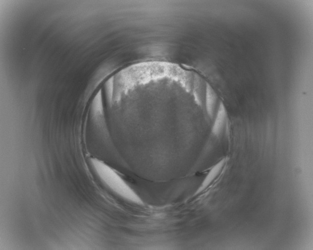 X0000065980051200603241950