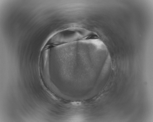 X0000065980052200603241950