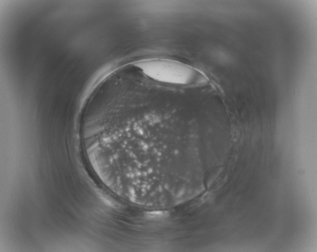 X0000065980053200603241950