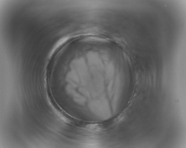 X0000065980054200603241950