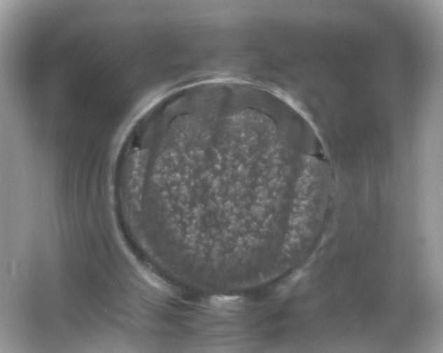 X0000065980055200603241950