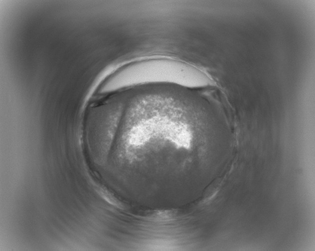 X0000065980056200603241950