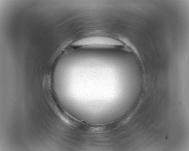 X0000065980057200603241950