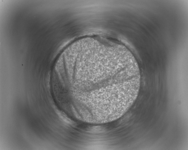 X0000065980058200603241950