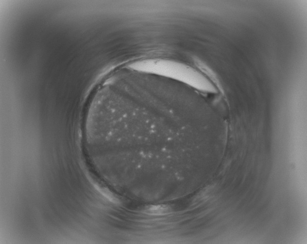 X0000065980059200603241950