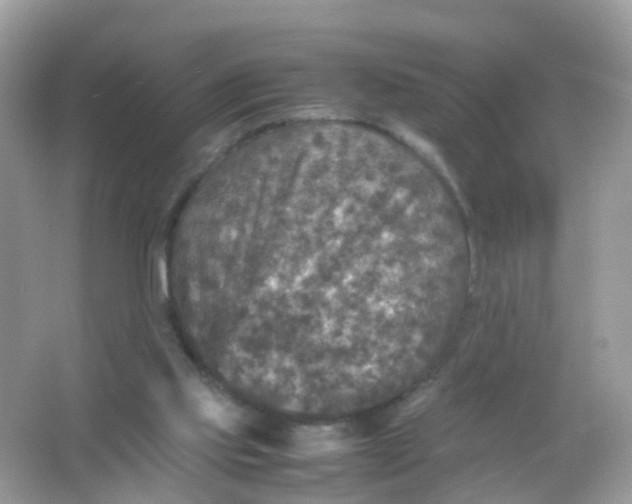 X0000065980061200603241950