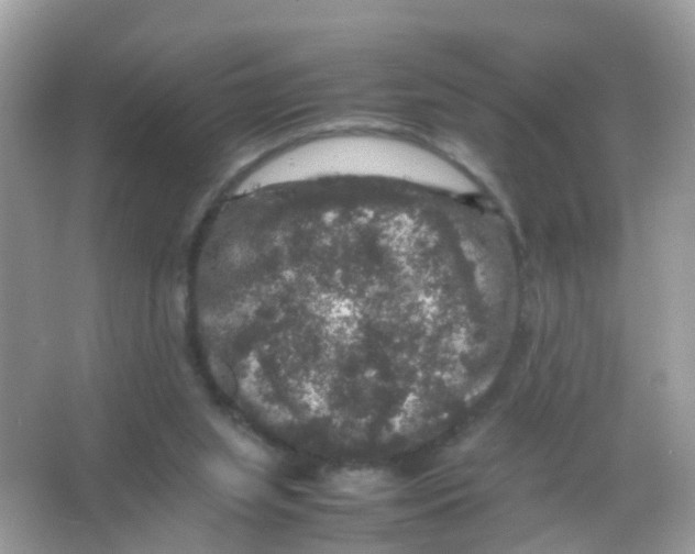 X0000065980063200603241950