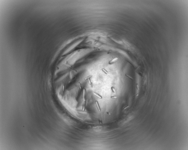 X0000065980064200603241950