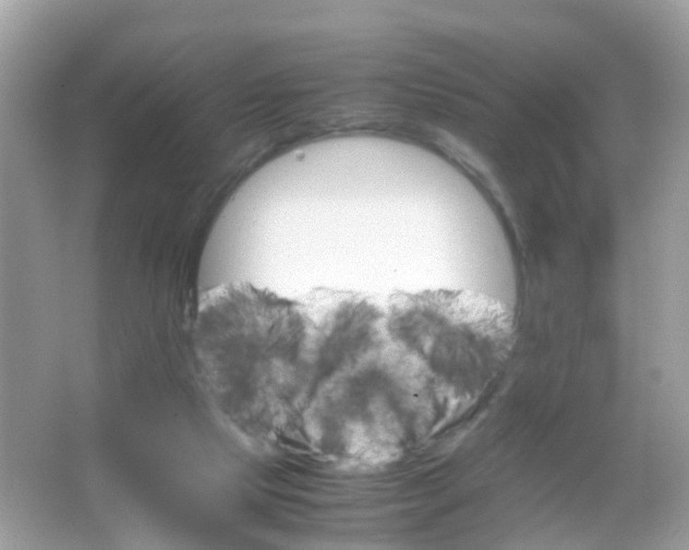 X0000065980065200603241950