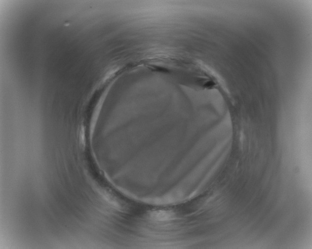 X0000065980067200603241950