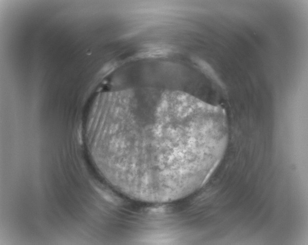 X0000065980068200603241950