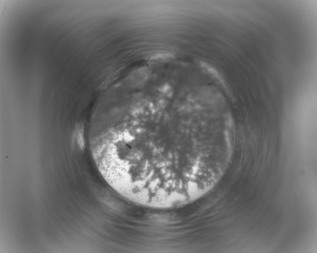 X0000065980069200603241950