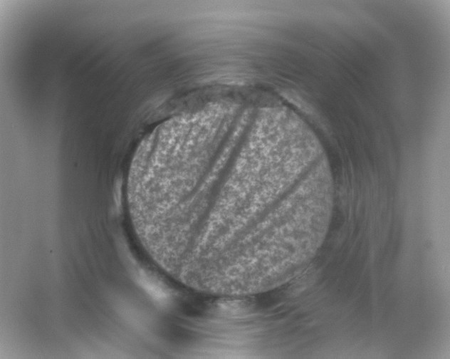 X0000065980070200603241950