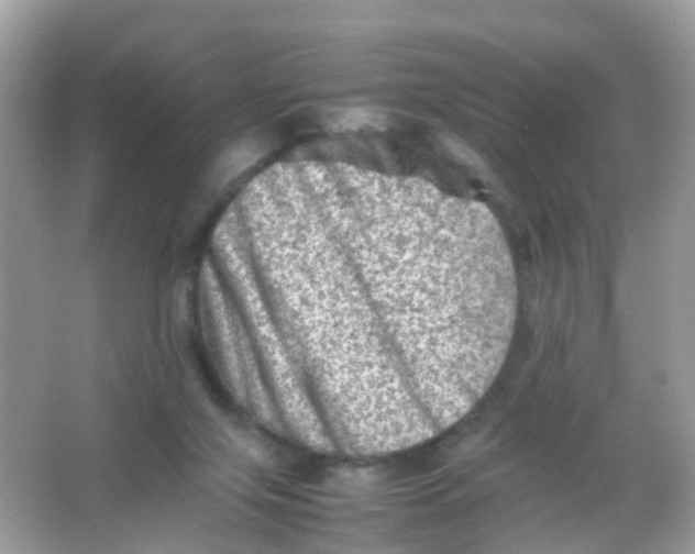 X0000065980071200603241950