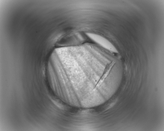 X0000065980072200603241950