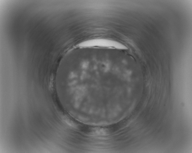 X0000065980073200603241950