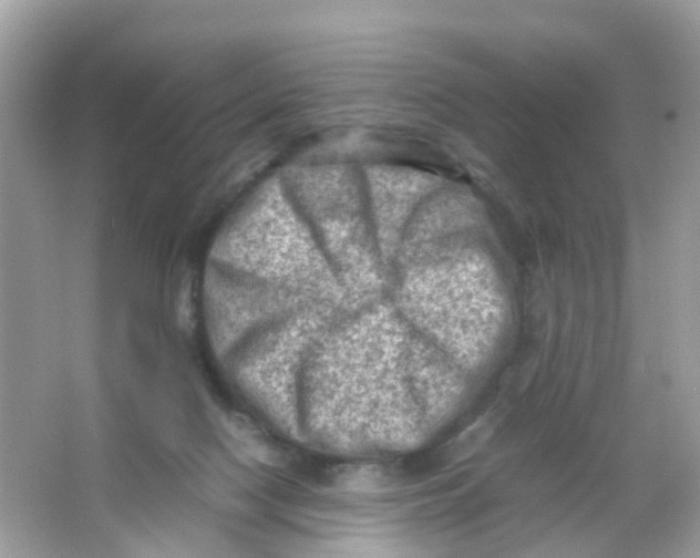 X0000065980074200603241950