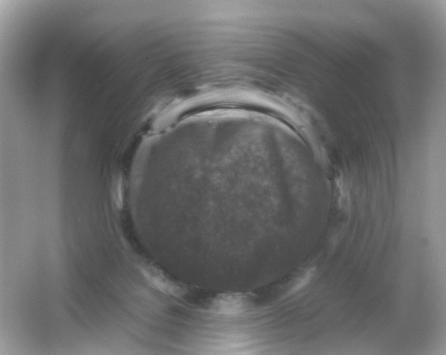 X0000065980076200603241950