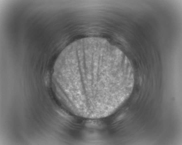 X0000065980077200603241950