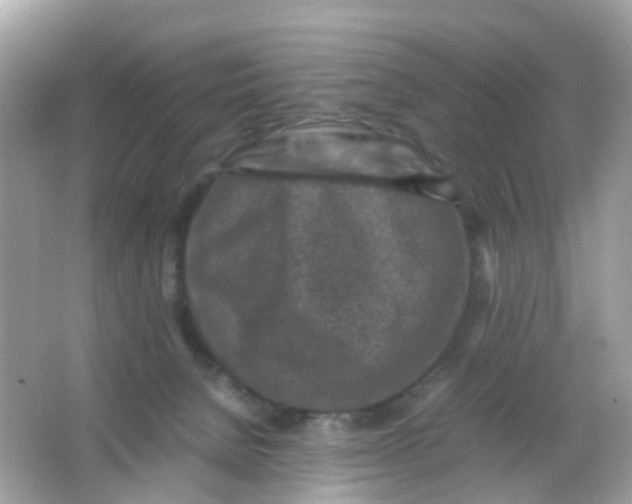 X0000065980080200603241950