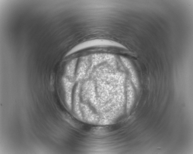 X0000065980082200603241950