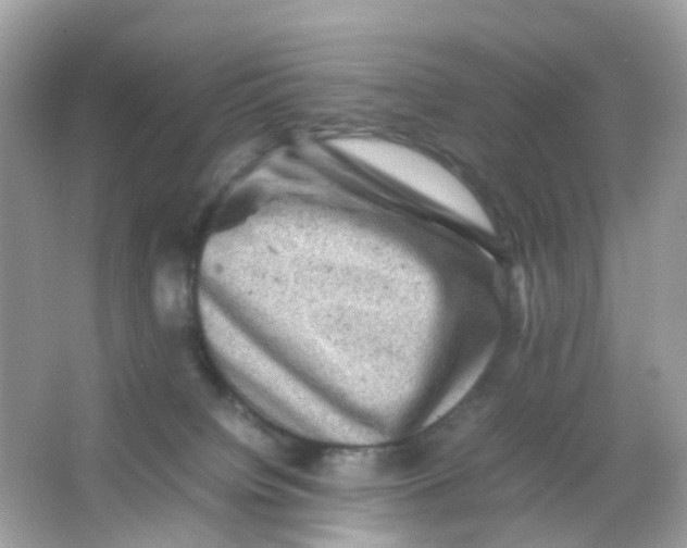 X0000065980084200603241950