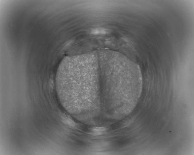 X0000065980085200603241950