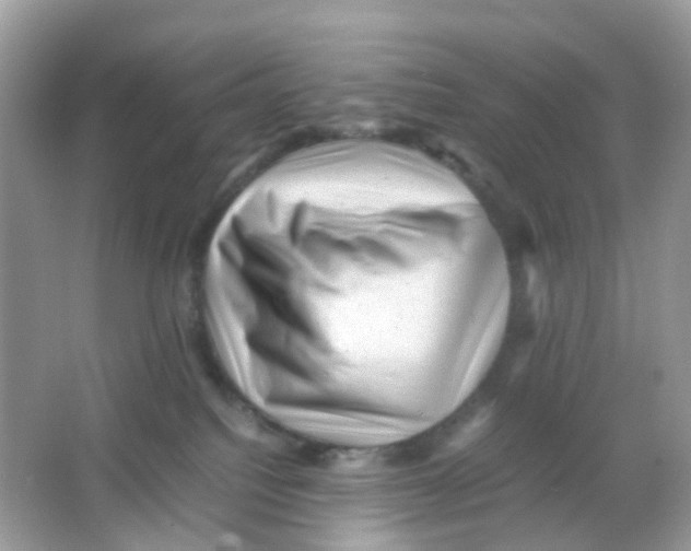 X0000065980088200603241950