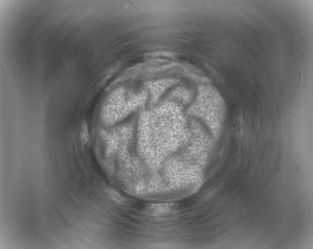 X0000065980089200603241950