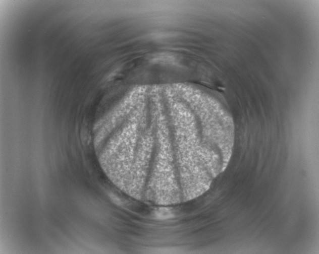 X0000065980091200603241950