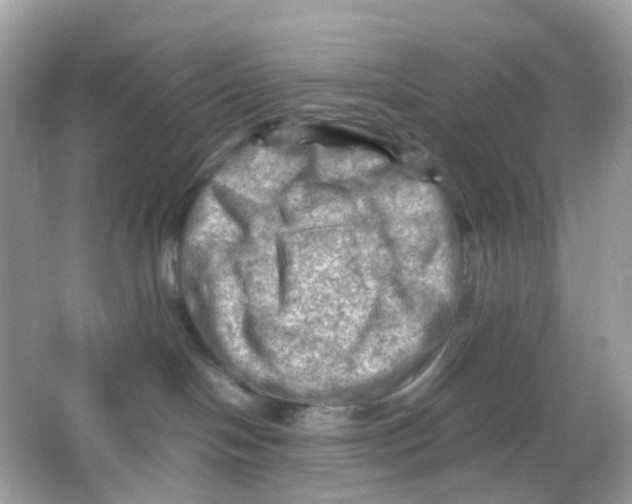 X0000065980094200603241951