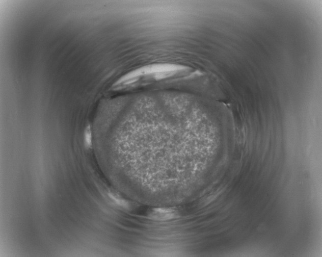 X0000065980095200603241951