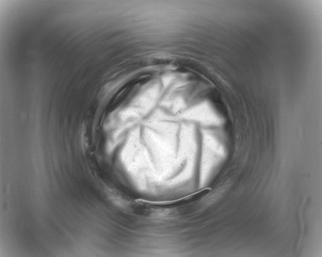 X0000065980096200603241951