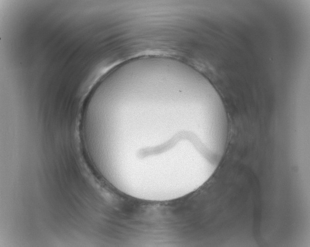 X0000065980098200603241950