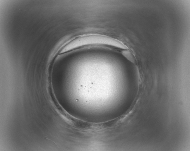 X0000065980101200603241950