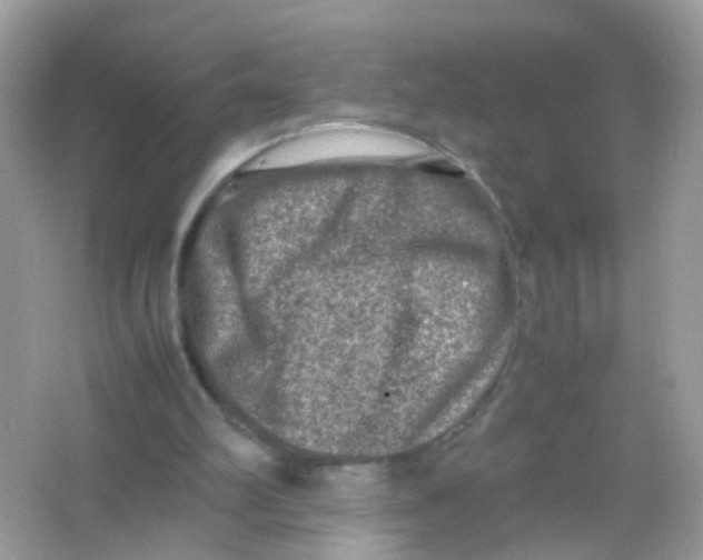 X0000065980102200603241950