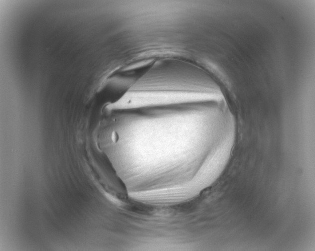 X0000065980105200603241950