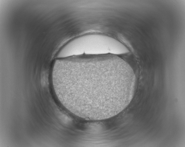 X0000065980106200603241950