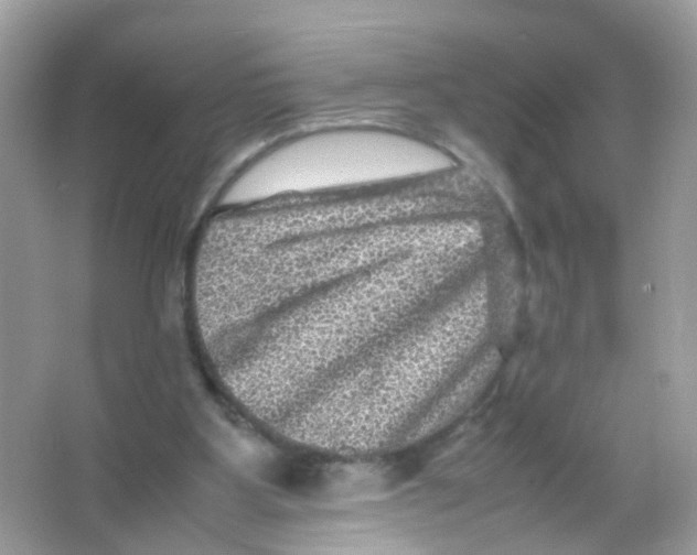 X0000065980107200603241950