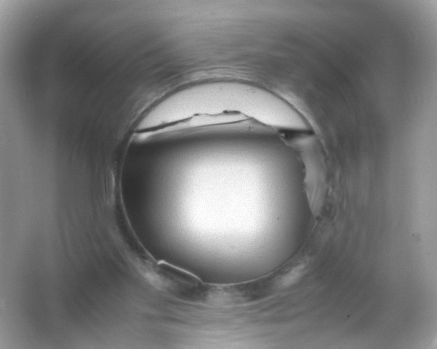 X0000065980109200603241950